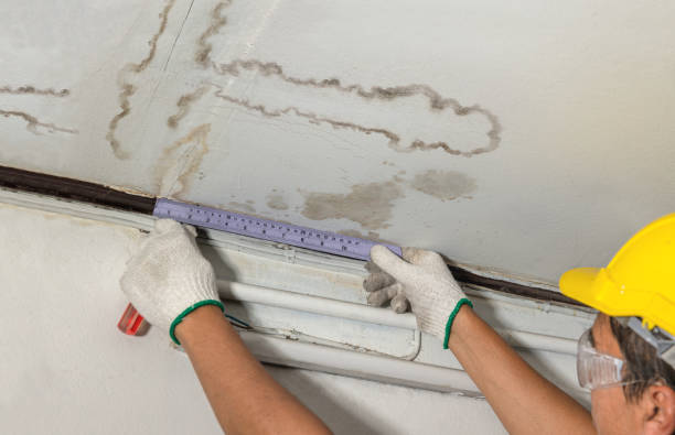 Reliable Water Damage contractor in Bahama, NC by Water Damage Irwin